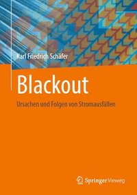 bokomslag Blackout