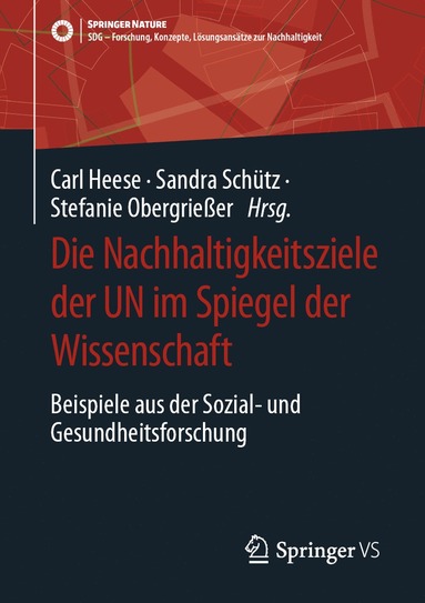 bokomslag Die Nachhaltigkeitsziele der UN im Spiegel der Wissenschaft