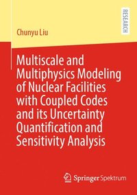 bokomslag Multiscale and Multiphysics Modeling of Nuclear Facilities with Coupled Codes and its Uncertainty Quantification and Sensitivity Analysis