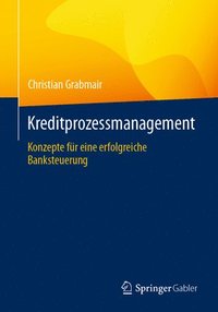 bokomslag Kreditprozessmanagement