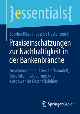 bokomslag Praxiseinschtzungen zur Nachhaltigkeit in der Bankenbranche