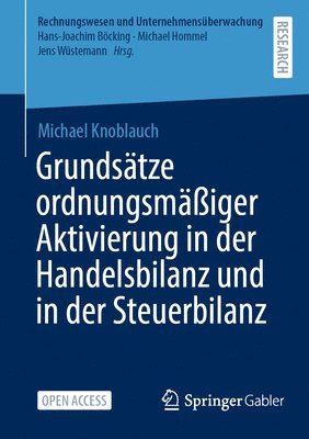 bokomslag Grundstze ordnungsmiger Aktivierung in der Handelsbilanz und in der Steuerbilanz