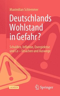 bokomslag Deutschlands Wohlstand in Gefahr?