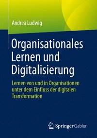 bokomslag Organisationales Lernen und Digitalisierung