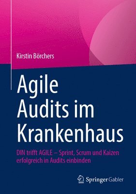 bokomslag Agile Audits im Krankenhaus