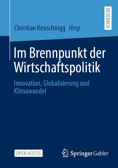 bokomslag Im Brennpunkt der Wirtschaftspolitik