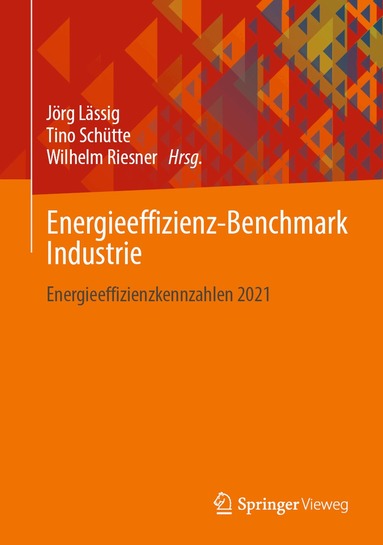 Jörg Lässig, Tino Schütte, Wilhelm Riesner - Energieeffizienz-Benchmark Industrie, Inbunden