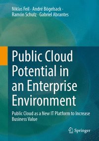 bokomslag Public Cloud Potential in an Enterprise Environment