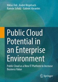 bokomslag Public Cloud Potential in an Enterprise Environment