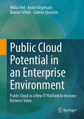 bokomslag Public Cloud Potential in an Enterprise Environment