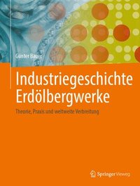 bokomslag Industriegeschichte Erdlbergwerke