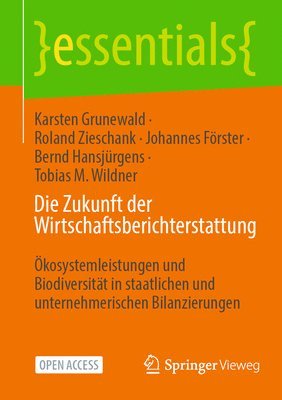 bokomslag Die Zukunft der Wirtschaftsberichterstattung