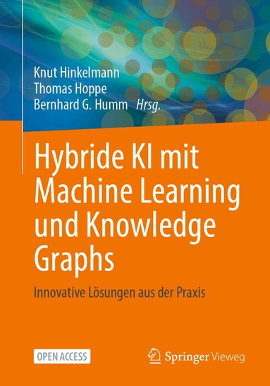 Knut Hinkelmann, Thomas Hoppe, Bernhard G. Humm - Hybride KI mit Machine Learning und Knowledge Graphs, Häftad