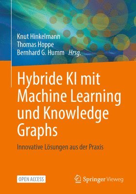 bokomslag Hybride KI mit Machine Learning und Knowledge Graphs