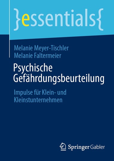 Melanie Meyer-Tischler, Melanie Faltermeier - Psychische Gefährdungsbeurteilung, Häftad