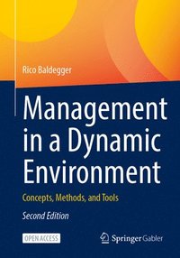 bokomslag Management in a Dynamic Environment