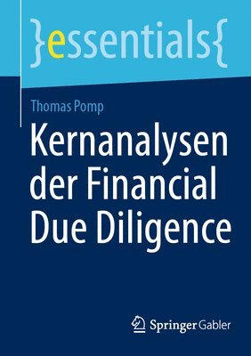 Kernanalysen der Financial Due Diligence 1