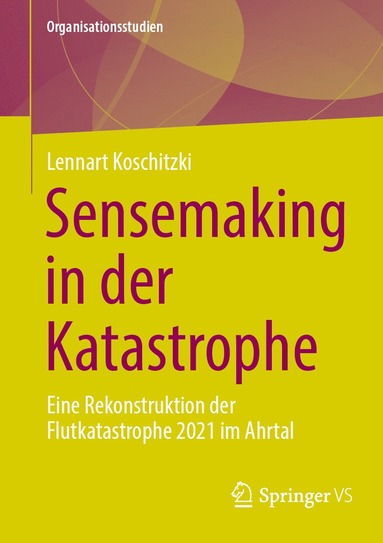 bokomslag Sensemaking in der Katastrophe