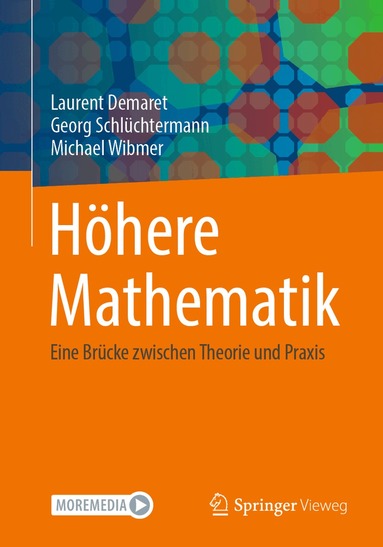 Laurent Demaret, Georg Schlüchtermann, Michael Wibmer - Höhere Mathematik, Häftad