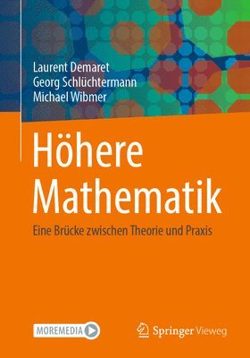 Laurent Demaret, Georg Schlüchtermann, Michael Wibmer - Höhere Mathematik, Häftad