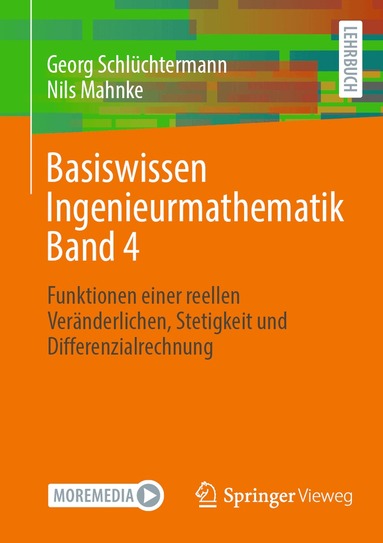 Georg Schlüchtermann, Nils Mahnke - Basiswissen Ingenieurmathematik Band 4, Häftad