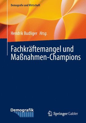 Hendrik Budliger - Fachkräftemangel und Maßnahmen-Champions, Häftad