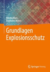 bokomslag Grundlagen Explosionsschutz