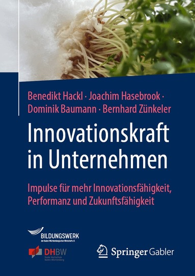 Benedikt Hackl, Joachim Hasebrook, Dominik Baumann, Bernhard Zünkeler - Innovationskraft in Unternehmen, Häftad