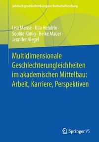 bokomslag Multidimensionale Geschlechterungleichheiten im akademischen Mittelbau: Arbeit, Karriere, Perspektiven