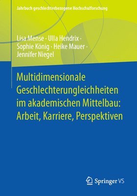 bokomslag Multidimensionale Geschlechterungleichheiten im akademischen Mittelbau: Arbeit, Karriere, Perspektiven