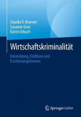 bokomslag Wirtschaftskriminalitt