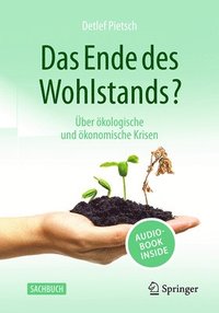 bokomslag Das Ende des Wohlstands?