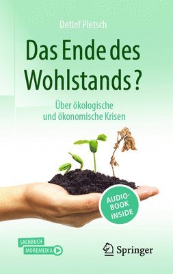 bokomslag Das Ende des Wohlstands?