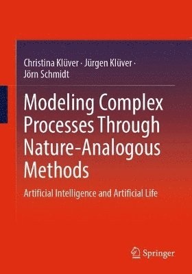 Christina Klüver, Jürgen Klüver, Jörn Schmidt, Christina Kluver, Jurgen Kluver, Jorn Schmidt - Modeling Complex Processes Through Nature-Analogous Methods, Häftad