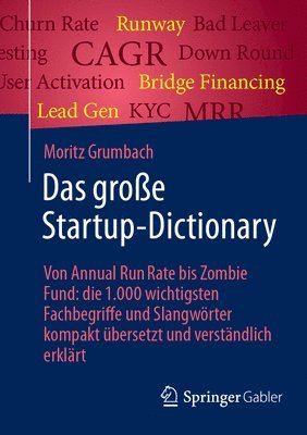 bokomslag Das groe Startup-Dictionary