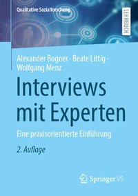 bokomslag Interviews mit Experten