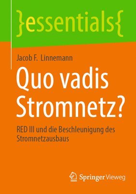 Quo vadis Stromnetz? 1