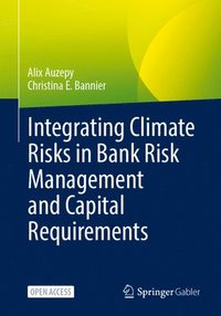 bokomslag Integrating Climate Risks in Bank Risk Management and Capital Requirements