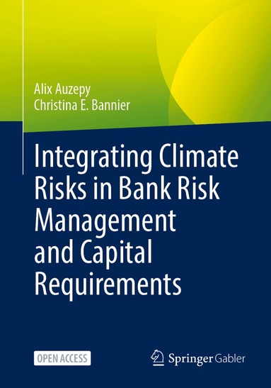 Alix Auzepy, Christina E. Bannier - Integrating Climate Risks in Bank Risk Management and Capital Requirements, Häftad