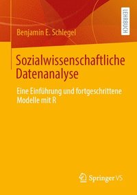 bokomslag Sozialwissenschaftliche Datenanalyse