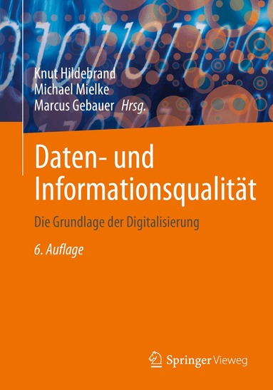 Knut Hildebrand, Michael Mielke, Marcus Gebauer - Daten- und Informationsqualität, Häftad