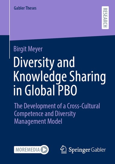 Birgit Meyer - Diversity and Knowledge Sharing in Global PBO, Häftad