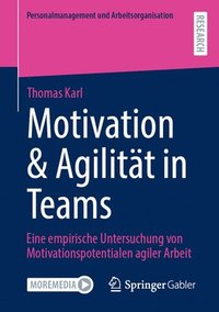 bokomslag Motivation & Agilitt in Teams