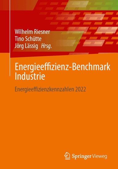 Wilhelm Riesner, Tino Schütte, Jörg Lässig - Energieeffizienz-Benchmark Industrie, Häftad