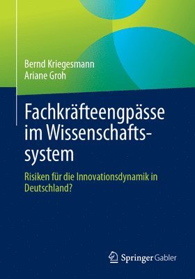 bokomslag Fachkräfteengpässe im Wissenschaftssystem