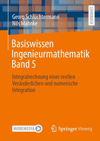 Georg Schlüchtermann, Nils Mahnke - Basiswissen Ingenieurmathematik Band 5, Häftad