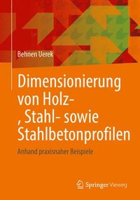 bokomslag Dimensionierung von Holz-, Stahl- sowie Stahlbetonprofilen