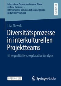 bokomslag Diversitätsprozesse in interkulturellen Projektteams