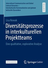 bokomslag Diversitätsprozesse in Interkulturellen Projektteams: Eine Qualitative, Explorative Analyse