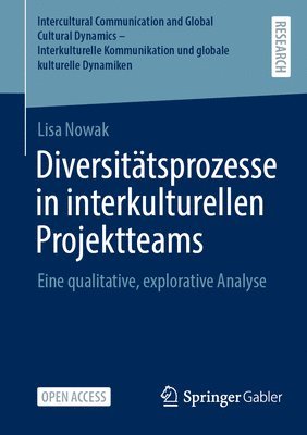 bokomslag Diversitätsprozesse in interkulturellen Projektteams